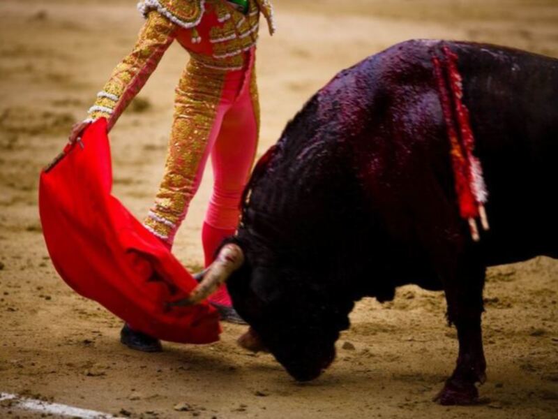 Feria de San Miguel en Canal+ Toros