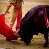 Feria de San Miguel en Canal+ Toros