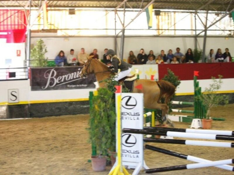 Gutiérrez de Rave máximo vencedor de la primera Jornada del Jumping de Pineda