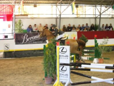 Gutiérrez de Rave máximo vencedor de la primera Jornada del Jumping de Pineda