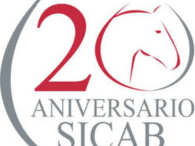 Como quiera que en Noticias Cofrades del Sur tenemos corazón y late por las cosas importantes de Sevilla y este año, se celebra el 20 Aniversario de SICAB, abrimos una venta a SICAB 2010.