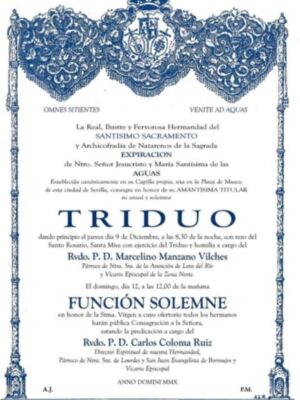 Triduo a la Virgen de las Aguas de la Hermandad del Museo‏