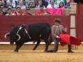 Un toro negro con cuernos blancos y una capa roja en la boca, corriendo hacia un hombre vestido con traje y corbata. El torero sostiene una capa roja, preparándose para enfrentar al animal en el centro de la plaza de toros. La audiencia observa desde los asientos alrededor del ruedo, con algunos sujetando banderas.