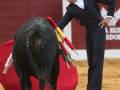 Un torero en traje de luces interactúa con un toro en una plaza de toros, rodeado por espectadores.
