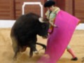 Un torero con un traje tradicional de color rosa y amarillo, luchando contra un toro negro en una plaza de toros. La escena está iluminada por la luz del día, con el suelo cubierto de arena y una pared de madera en el fondo.