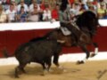 Imaginación y tradición en un entorno de toros, con un caballo y un toro en acción, capturando la esencia de la cultura del toro.