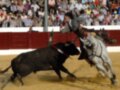 Un toro negro con un diadema rojo y blanco se enfrenta a un caballo blanco en una corrida de toros. La audiencia, incluyendo un jinete con sombrero, observa la acción desde el lado. La imagen se toma en un anfiteatro con una cerca roja y arena suave.