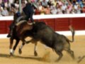 Un torero montado en un caballo negro lucha con un toro negro en una plaza de toros. La arena está llena de gente observando la acción.