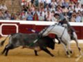 Un torero montando un caballo blanco en una corrida de toros, mientras un toro negro intenta atacar. La imagen muestra a la audiencia en el fondo, con toreros y toros en acción.
