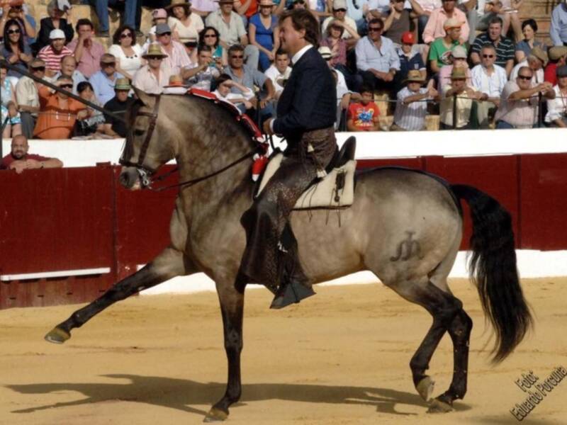 Ventura y Mendoza empatan en el duelo de osuna