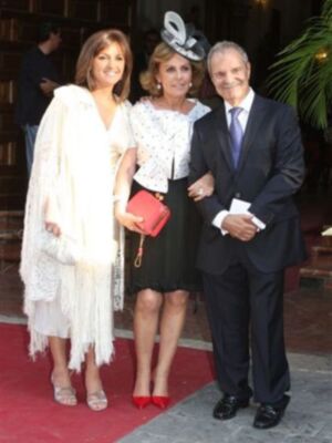 Periodistas y caras conocidas de la sociedad sevillana en la boda de Carmen Solís Tello