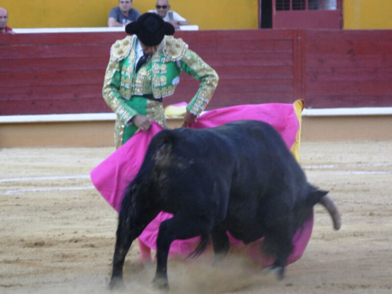Diego Silveti roza la puerta grande en Ávila