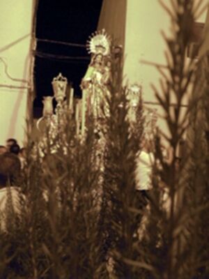 La Fe y la Devoción de un pueblo con su patrona la Virgen del Carmen de Esquivel