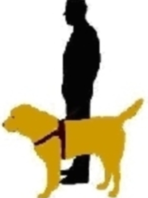 Método Arcón intervendrá en las Jornadas Conmemorativas X Aniversario de la AUPGA (Perros Guías de Andalucía) en Sevilla