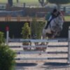 Los Jinetes de Pineda dominan la primera jornada del Campeonato de Andalucía de Saltos