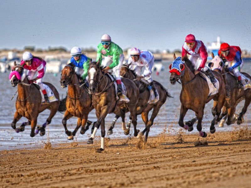 La obra titulada Competencia primer Premio Certamen fotográfico Carreras de caballos de Sanlúcar de Barrameda‏