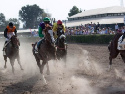Competidores en una carrera de caballos en plena acción, con jinetes en trajes coloridos y caballos galopando a alta velocidad en un circuito de arena.