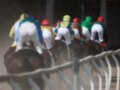 Jockeys in colorful silks riding horses at the starting gate during a horse race.