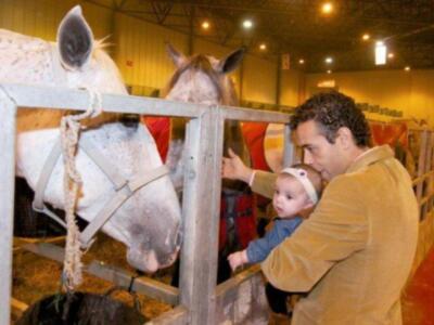 Un hombre sostiene a un bebé mientras observan curiosamente a dos caballos en una exposición. El ambiente es iluminado y parece ser un lugar de exposiciones o ferias, con estructuras metálicas y colores neutros.