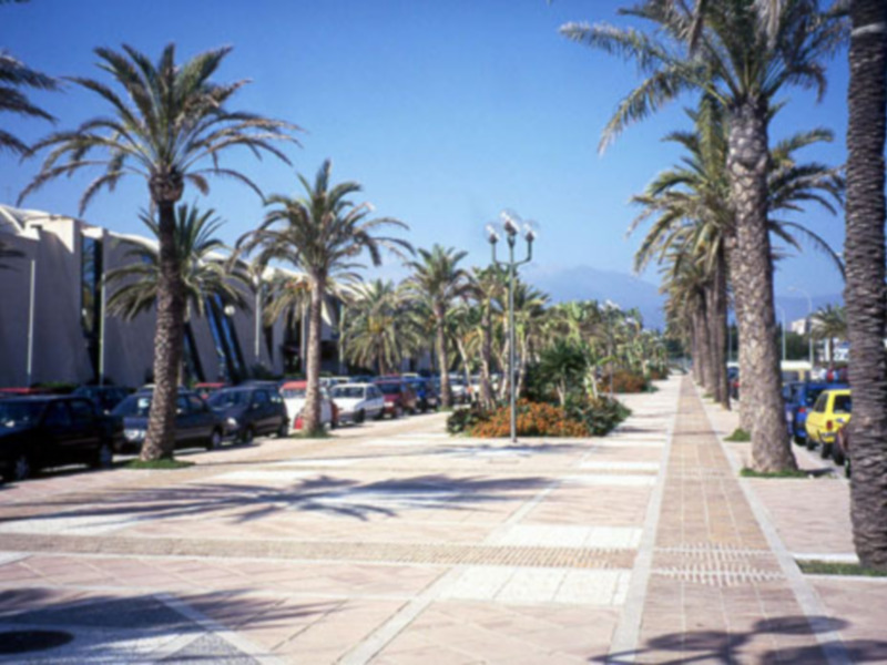 Calle con palmeras y coches estacionados, cielo azul claro.