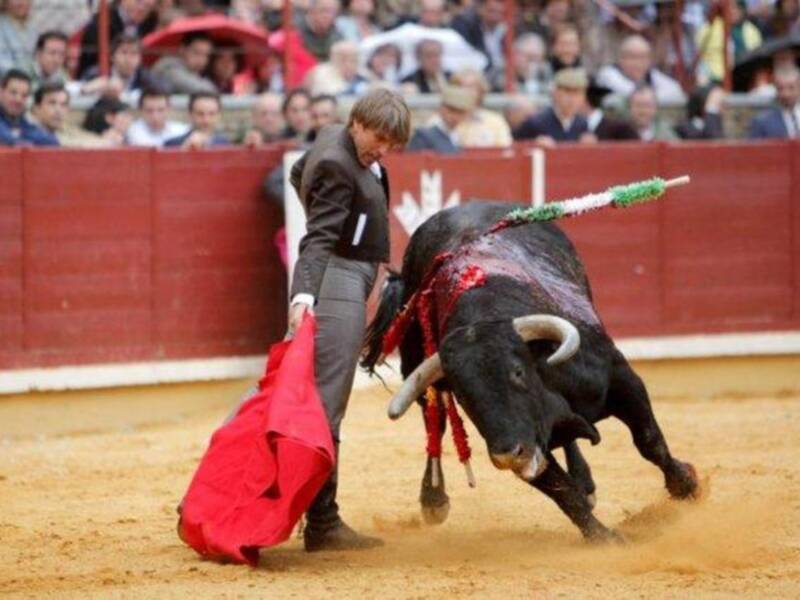 Festival contra el cáncer en Córdoba 
