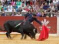 Un torero en acción, con un capote rojo y una espada en la mano izquierda, lucha contra un toro negro en una plaza de toros. El público observa atentamente desde las gradas.