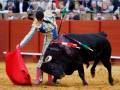 Un torero con un traje de luces y una capa azul se enfrenta a un toro negro en la plaza de toros. El torero sostiene una capa roja y un capote, mientras el toro se mueve hacia él. La imagen captura la intensidad y la tradición de la tauromaquia.