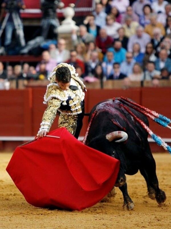 Manzanares vuelve a hacer historia al cortar cuatro orejas