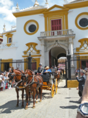 XXVII Exhibición de enganche en la Real Maestranza de Caballería de la feria de Abril.
