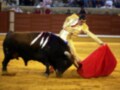 Un torero en traje tradicional lucha con un toro en la plaza de toros, usando una capa roja para desafiarlo.