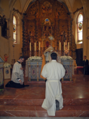 Procesión del Corpus Christi de la Villa de Alcalá del Río 2012 (Sevilla)