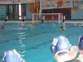Jugadores de waterpolo en acción durante un partido en una piscina cubierta.