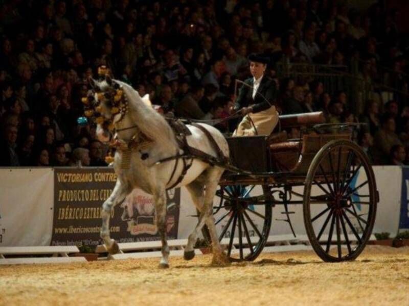 Carmen Martínez Bordiú inaugura el salón del caballo en Sevilla