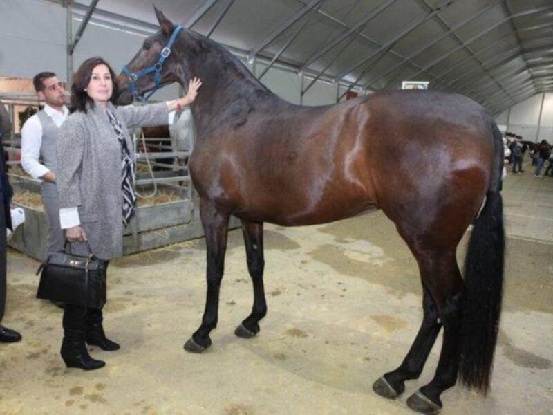 Carmen Martínez Bordiú inaugura el salón del caballo en Sevilla