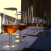 Acitur ofrece el sábado una cata de vinos de Bodegas Mellado Martín(Chipiona)  