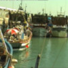 El Grupo de Desarrollo Pesquero subvencionará con 12 mil euros el proyecto ÂChipiona una muestra de municipio marineroÂ 