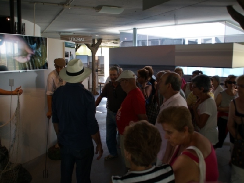El Centro ÂEl CamaleónÂ sigue creciendo en actividad con 4.500 visitas durante el verano(Chipiona)