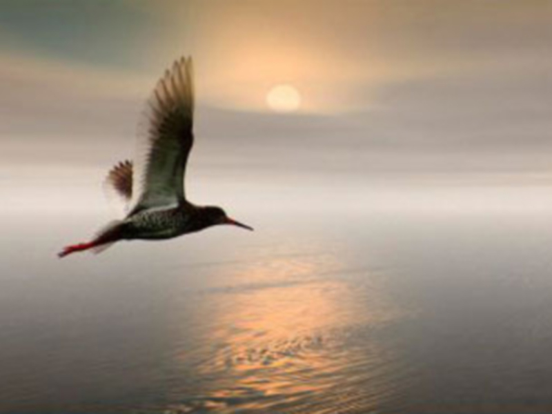 EL TIEMPO DE UN VUELO