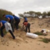 Eriphia vuelve a congregar a un buen número de voluntarios en la sexta edición de las Jornadas de eliminación de la flora invasora(Chipiona) 
