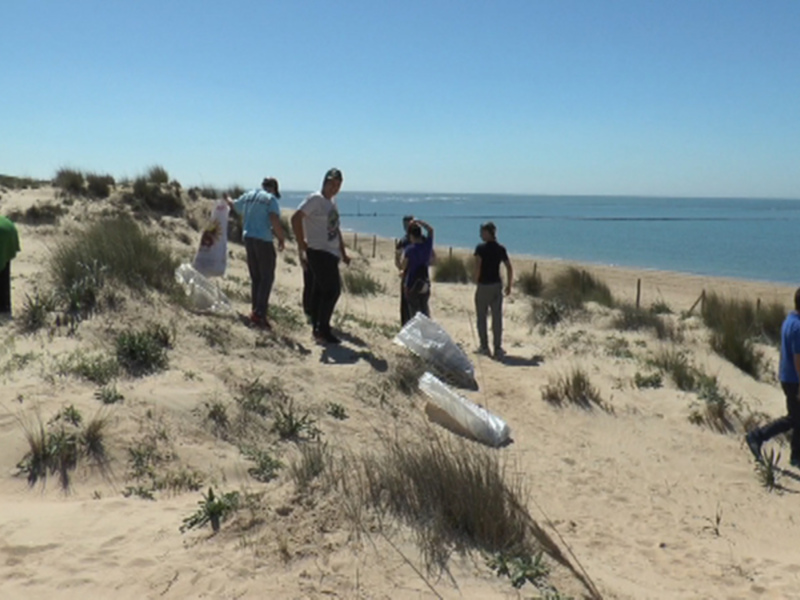 Eriphia agradece la implicación de los voluntarios en la jornada de eliminación de la flora invasora en el cordón dunar(Chipiona)
