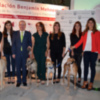 Sevilla.  Una quincena de perros recorrieron  los espacios del edificio centenario de la calle Orfila.