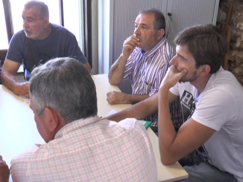 La Delegación de Fiestas pide la colaboración ciudadana para que se respeten las medidas establecidas para el desarrollo de la Romería.(Chipiona) 