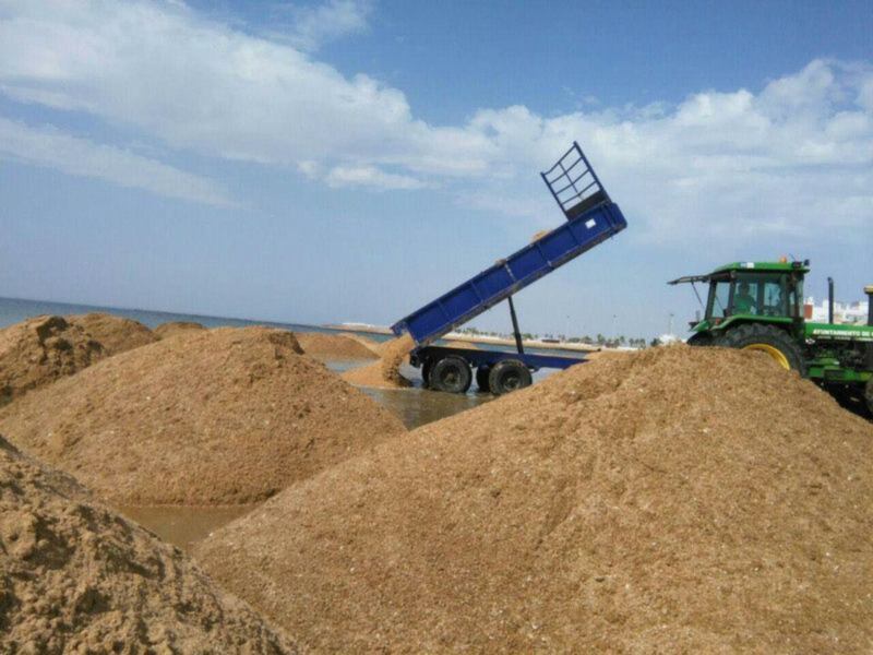 Playas intensifica la limpieza y adecuación de la arena para el comienzo de la temporada(Chipiona)