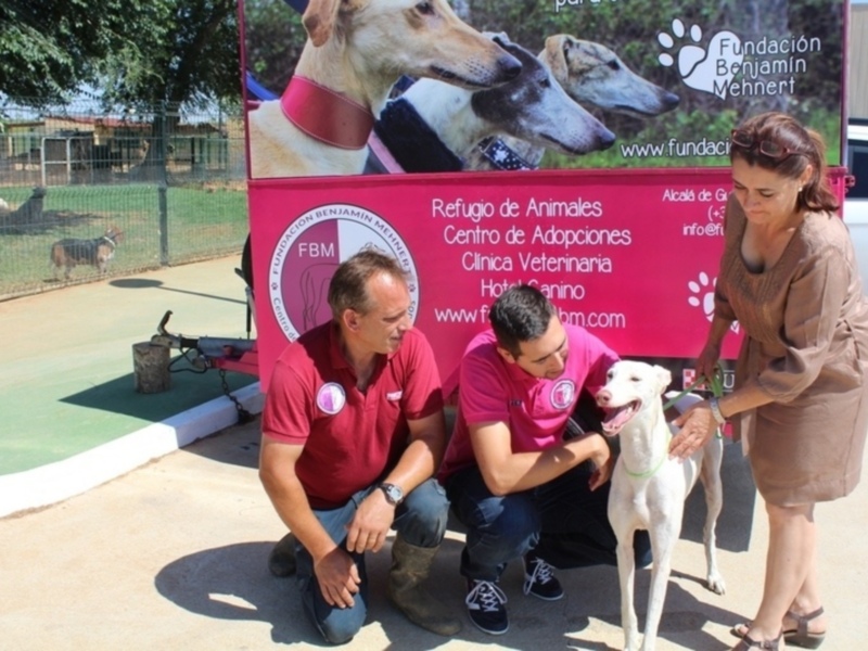 Rescatan un galgo en la Universidad Pablo de Olavide de Sevilla