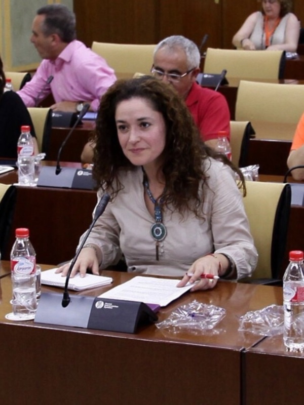 IU propone en el Parlamento una Declaración Institucional en Pleno en defensa del legado de la Fundación Casa Medina Sidonia 