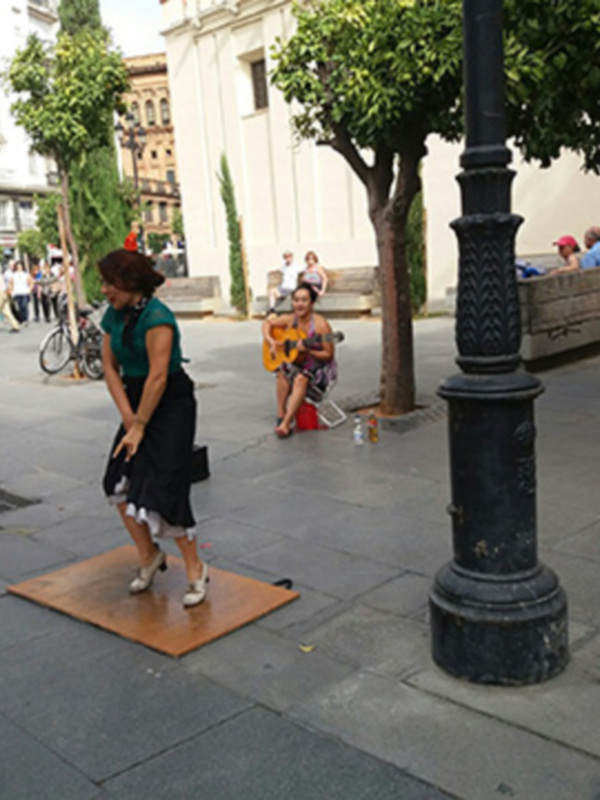 Flamenco desde China.