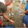 289 personas han participado en el programa de visitas a los corrales de pesquería organizadas por Jarife y Turismo(Chipiona)