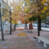 Sevilla y su Otoño tardío