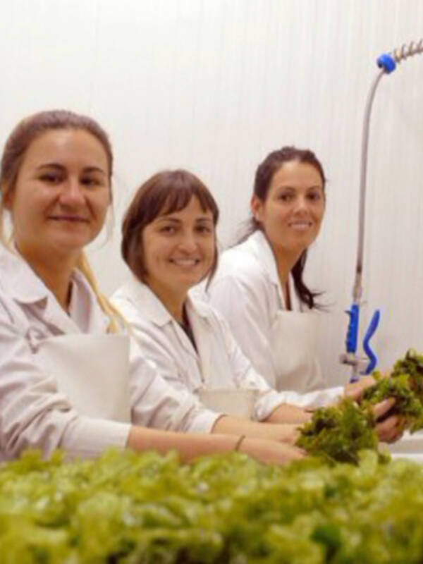 Las algas serán protagonistas este viernes de la tercera Jornada de Gastronomía del Litoral Chipiona sabe a mar
