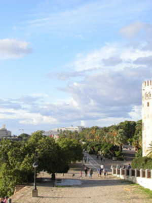 Parques y jardines de Sevilla y participación ciudadana.